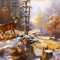 Winter deer