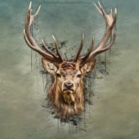 Deer art