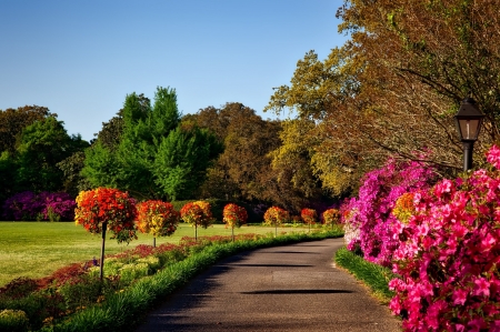 Park - pretty, large, trees, photography, HD, flowers, path, nature, red, park