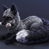 Silver fox