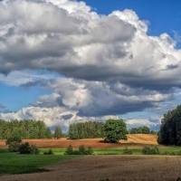 Fields after Harvest