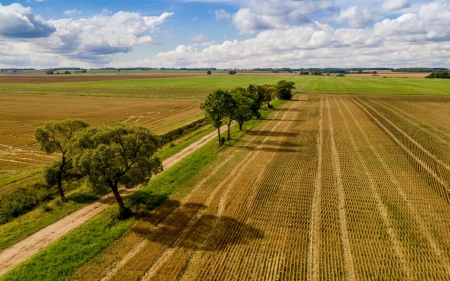 Fields after Harvest - Latvia, clouds, trees, fields, road