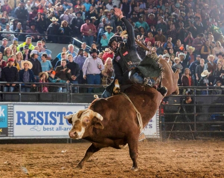 Bull Rider Colten Fritzlan - Other & People Background Wallpapers on ...
