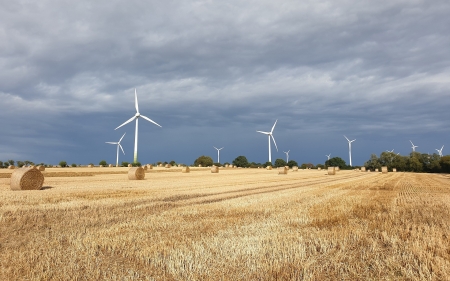 After Harvest - harvest, field, straw bales, wind turbines