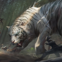 White tiger