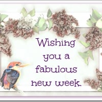 FABULOUS NEW WEEK