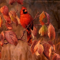 Red Bird in Autumn