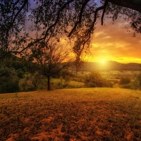 A small field in a quiet countryside at sunset