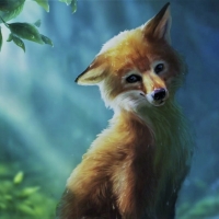 cute fox