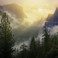 Yosemite National Park