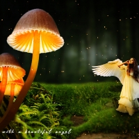 Light mushroom and an angel