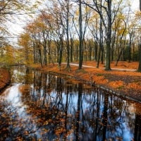 stream quilted of leaves