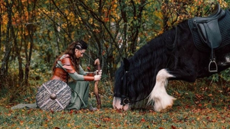 Forgive - animal, horse, woman, fields