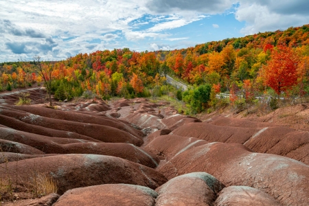 Autumn at Cheltenham Badlands - trees, autumn, badlands, nature