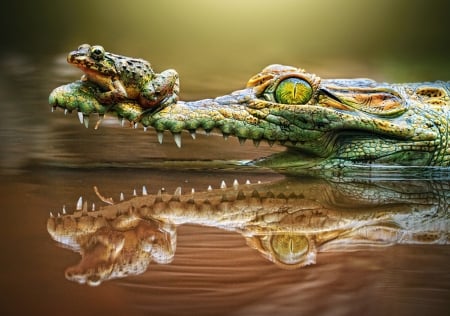 :) - water, reptile, amphibian, frog, crocodile