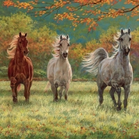 Horses