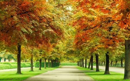 Park - Other & Nature Background Wallpapers on Desktop Nexus (Image ...