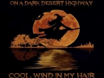 Cool Wind in My Hair