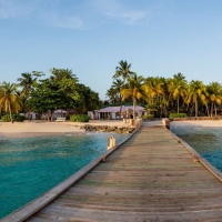 Caribbean palm island resort