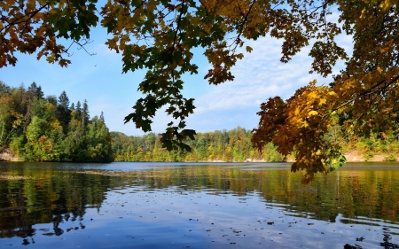 River Daugava in Latvia - Latvia, river, nature, maple, park