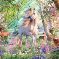 Enchanted unicorn