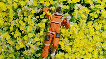 Astronaut - yellow, view from the top, summer, flower, cosmonaut, orange, chirag oza, frumusete, fantasy, field, astronaut, vara, luminos