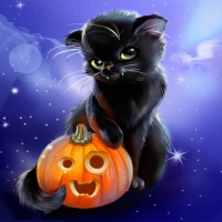 Black Cat with pumpkin