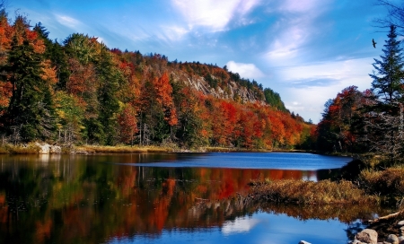 Adirondack Park in New York - Rock, Orange, Red, Blue Sky, Colors, Mountains, Rust, Green, Beautiful, Lake, Reflection, Eagle, Blue, Clouds, Shoreline