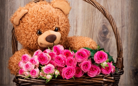 Sweeet teddy - bear, basket, teddy, rose, love