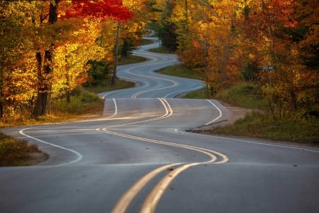 Autumn in Wisconsin - highway, trees, nature, autumn, wisconsin