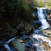 pisgah national forest