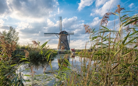 Windmill in Netherlands - windmill, canal, reeds, clouds, Netherlands
