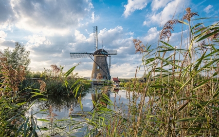 Windmill in Netherlands - clouds, reeds, canal, Netherlands, windmill