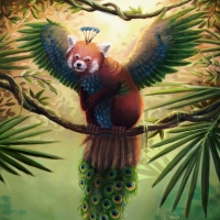 Winged red panda