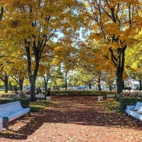 Park in Saint Petersburg