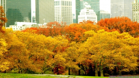 Autumn in New York