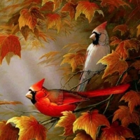 Cardinals of Autumn