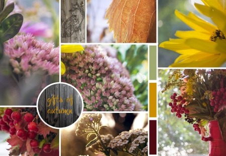 Gift of Autumn