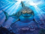 Great White Shark Art