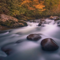 Golden Hour in the Greenbrier - Great Smoky Mountains National Park