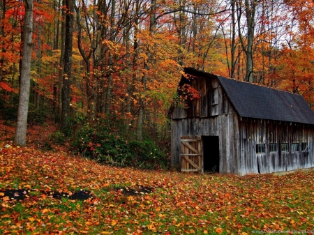 Fall Country - fall, autumn, barn, country, leaves