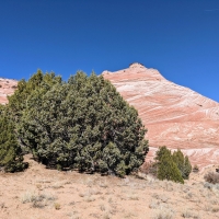 Grand Staircase - Escalante National Monument, Utah