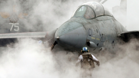 Grumman F-14 Tomcat