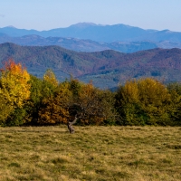 Peisaj de toamna din Maramures