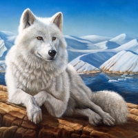 White Wolf