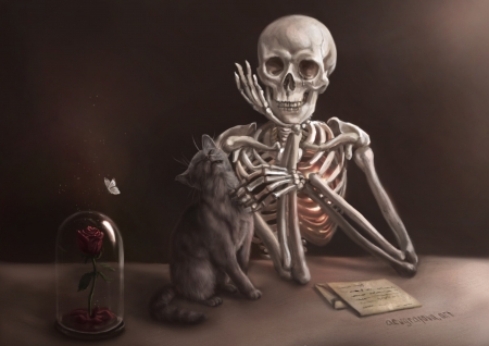 Sensibility - cat, skull, fantasy, pisici, halloween, skeleton, anastasia evgrafova, art, bones