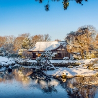 Winter House on the Lake