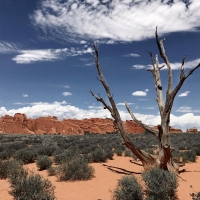 Moab, Utah