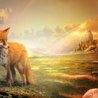 Fox is watching