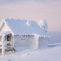 the snow house